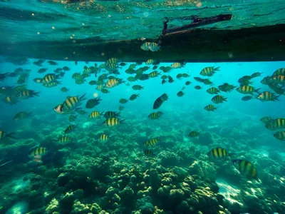 Andaman Sea Best Pool Access and Villas – Fotos 16